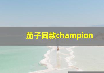 茄子同款champion