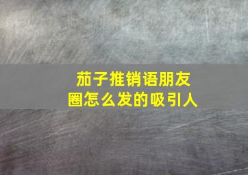 茄子推销语朋友圈怎么发的吸引人