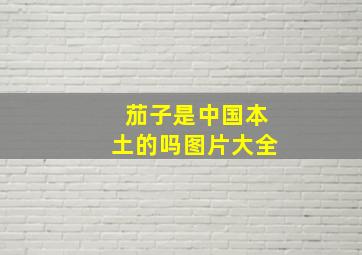 茄子是中国本土的吗图片大全