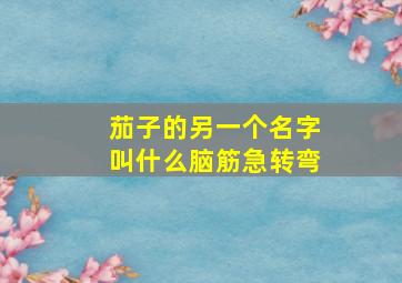 茄子的另一个名字叫什么脑筋急转弯