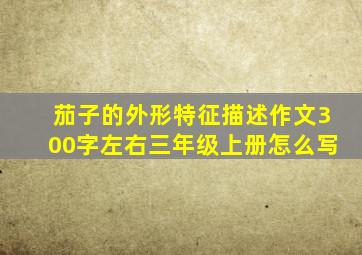 茄子的外形特征描述作文300字左右三年级上册怎么写