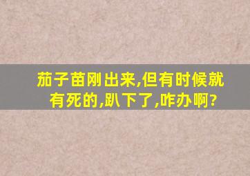 茄子苗刚出来,但有时候就有死的,趴下了,咋办啊?