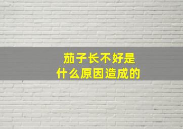 茄子长不好是什么原因造成的