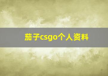 茄子csgo个人资料