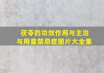 茯苓的功效作用与主治与用量禁忌症图片大全集