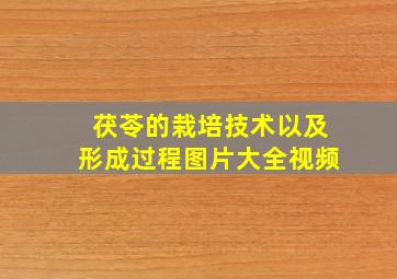 茯苓的栽培技术以及形成过程图片大全视频