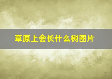 草原上会长什么树图片