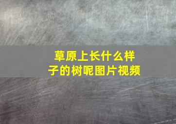 草原上长什么样子的树呢图片视频