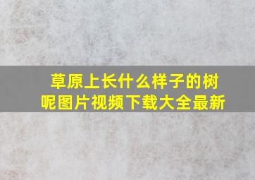 草原上长什么样子的树呢图片视频下载大全最新