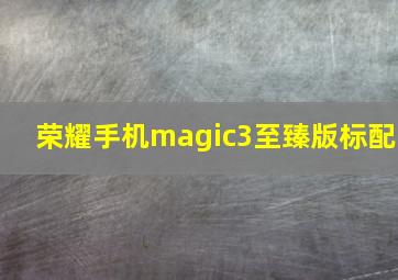 荣耀手机magic3至臻版标配