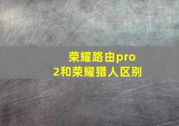 荣耀路由pro2和荣耀猎人区别