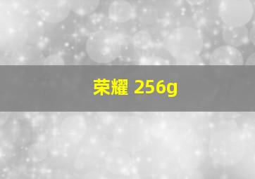 荣耀 256g