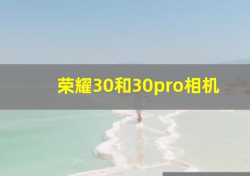 荣耀30和30pro相机