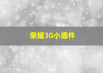 荣耀30小插件