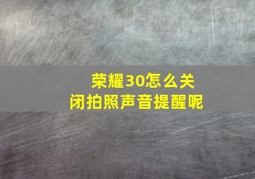 荣耀30怎么关闭拍照声音提醒呢