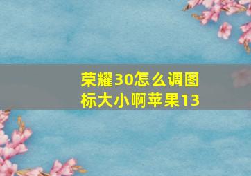 荣耀30怎么调图标大小啊苹果13