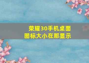 荣耀30手机桌面图标大小在那显示