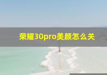 荣耀30pro美颜怎么关