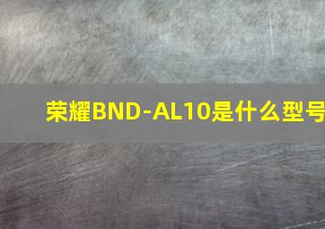 荣耀BND-AL10是什么型号