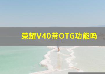 荣耀V40带OTG功能吗