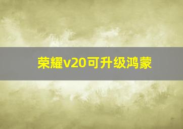 荣耀v20可升级鸿蒙