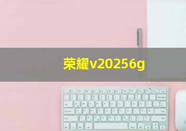 荣耀v20256g