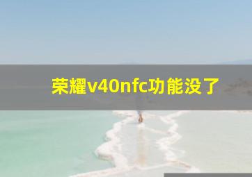 荣耀v40nfc功能没了