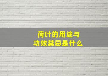 荷叶的用途与功效禁忌是什么