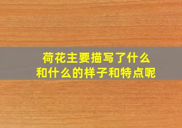 荷花主要描写了什么和什么的样子和特点呢