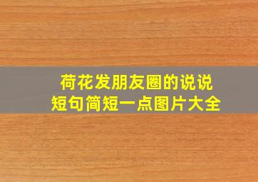 荷花发朋友圈的说说短句简短一点图片大全