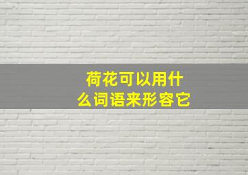 荷花可以用什么词语来形容它