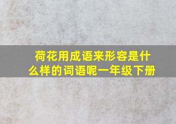 荷花用成语来形容是什么样的词语呢一年级下册