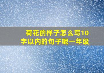 荷花的样子怎么写10字以内的句子呢一年级