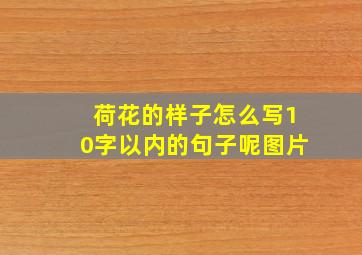 荷花的样子怎么写10字以内的句子呢图片