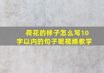 荷花的样子怎么写10字以内的句子呢视频教学