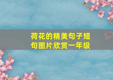 荷花的精美句子短句图片欣赏一年级