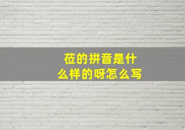 莅的拼音是什么样的呀怎么写