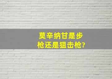 莫辛纳甘是步枪还是狙击枪?