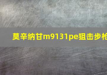 莫辛纳甘m9131pe狙击步枪