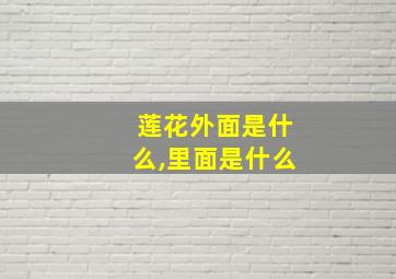 莲花外面是什么,里面是什么