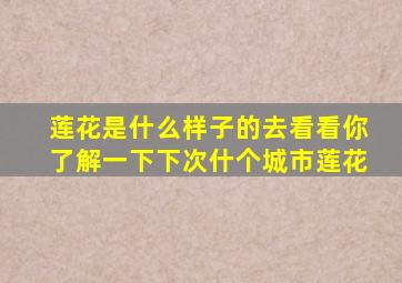 莲花是什么样子的去看看你了解一下下次什个城市莲花