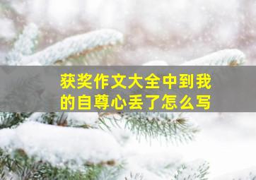 获奖作文大全中到我的自尊心丢了怎么写