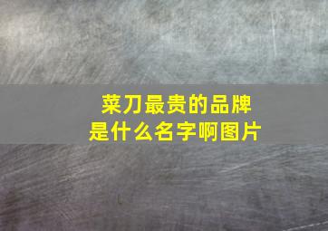 菜刀最贵的品牌是什么名字啊图片