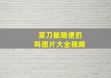 菜刀能随便扔吗图片大全视频