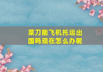 菜刀能飞机托运出国吗现在怎么办呢