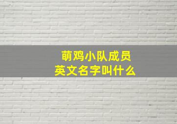 萌鸡小队成员英文名字叫什么