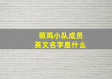 萌鸡小队成员英文名字是什么