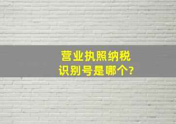 营业执照纳税识别号是哪个?