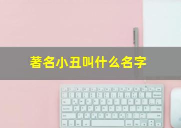 著名小丑叫什么名字