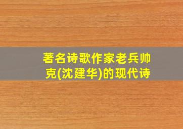 著名诗歌作家老兵帅克(沈建华)的现代诗